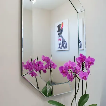 Les Orchidees La Marine Daire Saumur